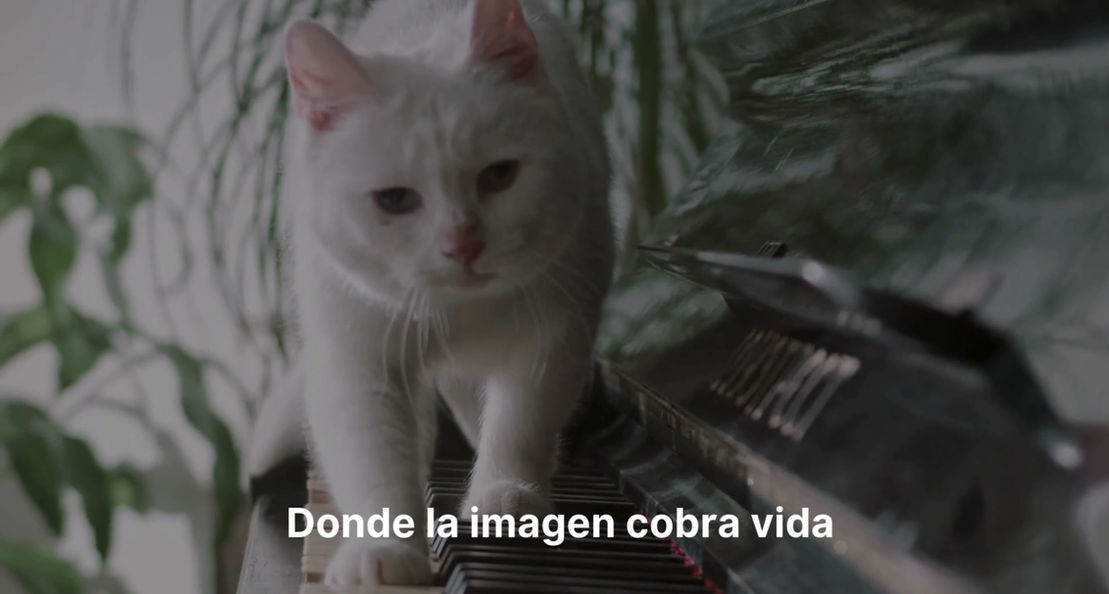 Crea Artsound Pets, un regalo que acaricia el alma